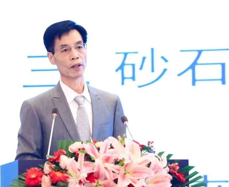 主旨報告 | 胡幼奕以國際化視角，提出固廢綜合利用和生態(tài)環(huán)境修復新思路